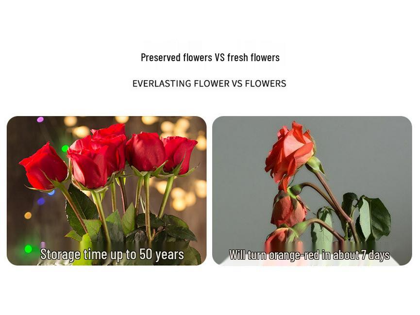 Glaskuppel Rose mit Lichtern - Kreatives Geschenk zum Frauentag und Nachtlicht-Ornament