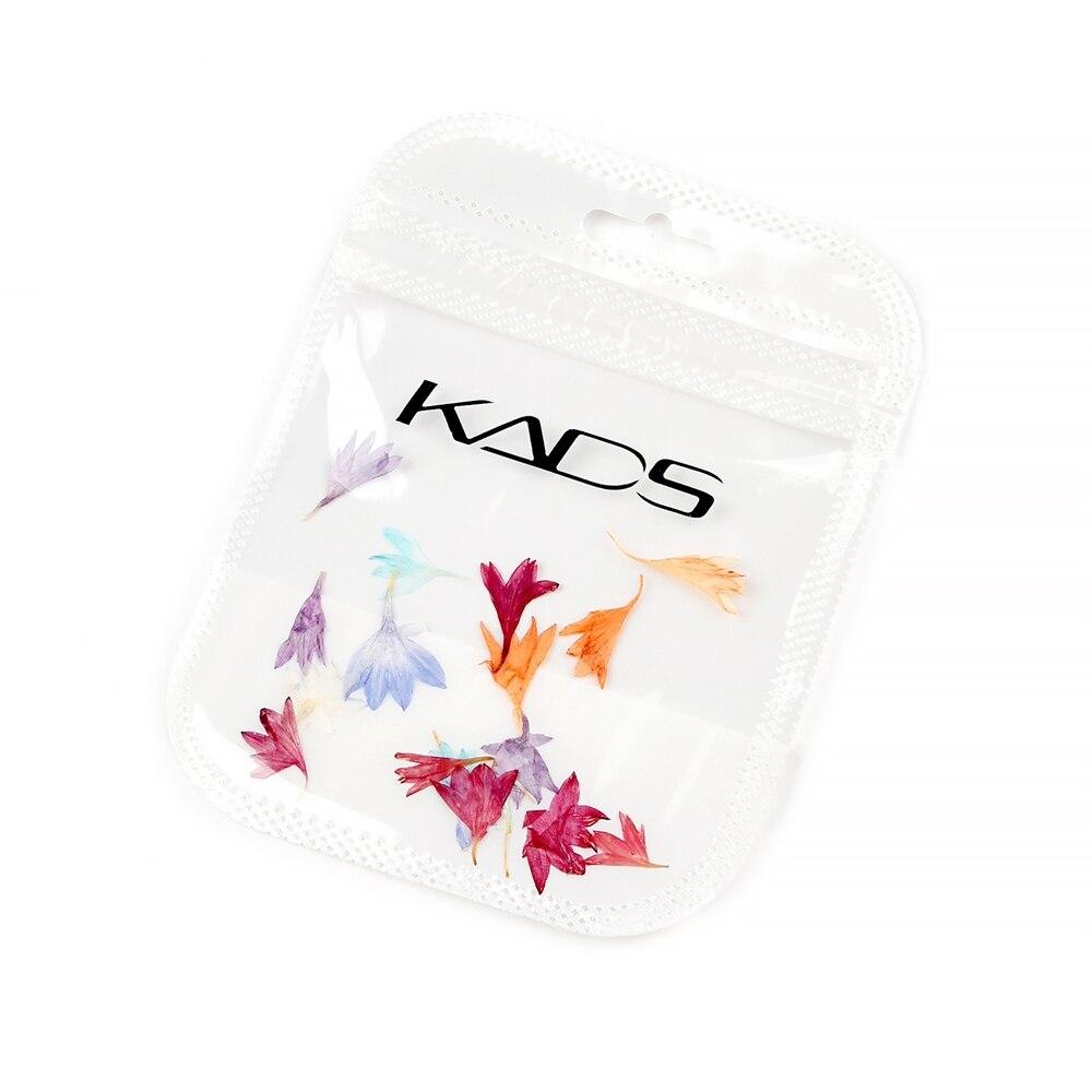 

KADS 18 шт./пакет, сушеные цветы, украшения для дизайна ногтей, смешанные цвета, василек, настоящие натуральные цветочные кончики «сделай сам», весна-лето, аксессуары для ногтей