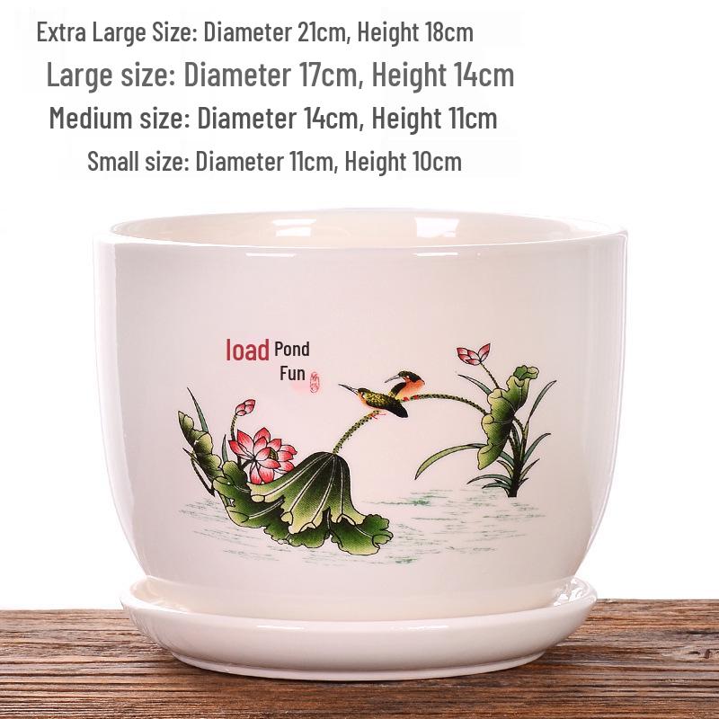 Extra Large Ceramic Flower Pot with Saucer for Succulents and Orchids, Creative Balcony Gardening Stand.