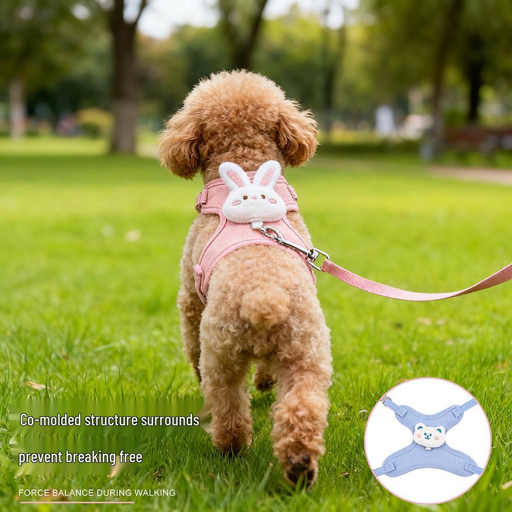 Pet Leash & Harness Set for Small Dogs and Cats – Vest Style for Walking