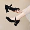 Square Head High Heels Women's Spring New Black Light Mouth One-word Buckle Single Shoes Black Work Shoes Mary Jane Shoes
