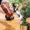 Succulent Curved Spout Watering Can, Pointed Spout Watering Can, Long Spout Spray Bottle, Household Watering Can Specifically for Succulents