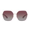 Ladies' Sunglasses Ralph Lauren RA 4138