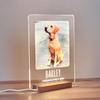 Custom Unique Furbaby Art Decor Personalized Animal Token Gift For Home Office Console Porch Nook For Pet Fan Furry Friend Lover