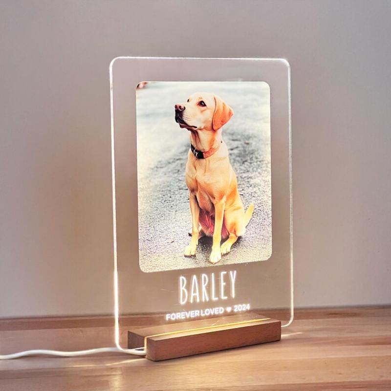 Custom Unique Furbaby Art Decor Personalized Animal Token Gift For Home Office Console Porch Nook For Pet Fan Furry Friend Lover