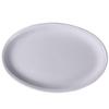 ZISIZ 16-inch Oval Ceramic Fish Plate Set