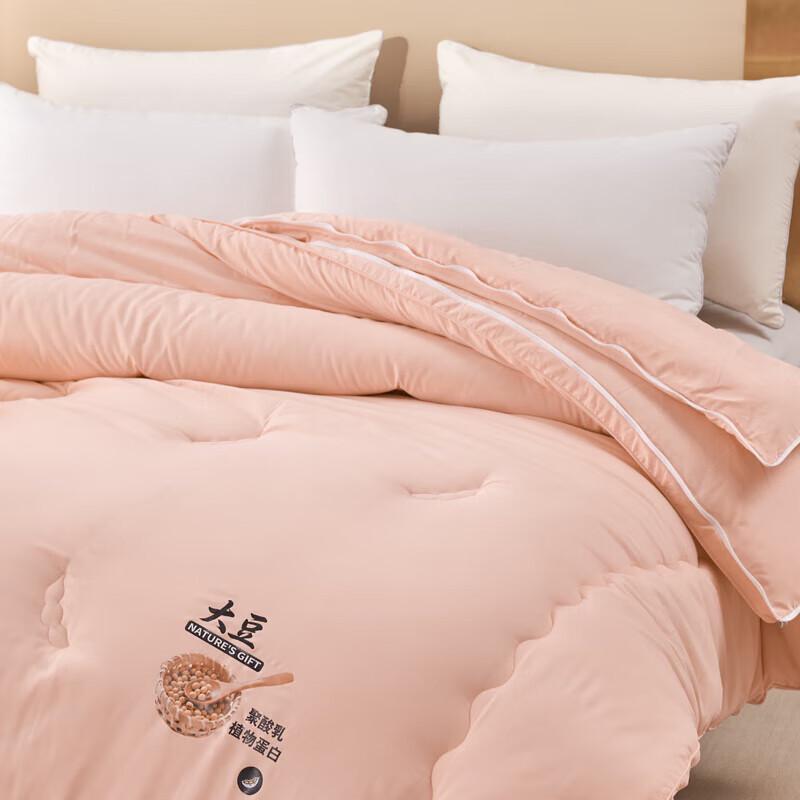 PAUI DAVID Lyocell Two-in-One All-Season Comforter