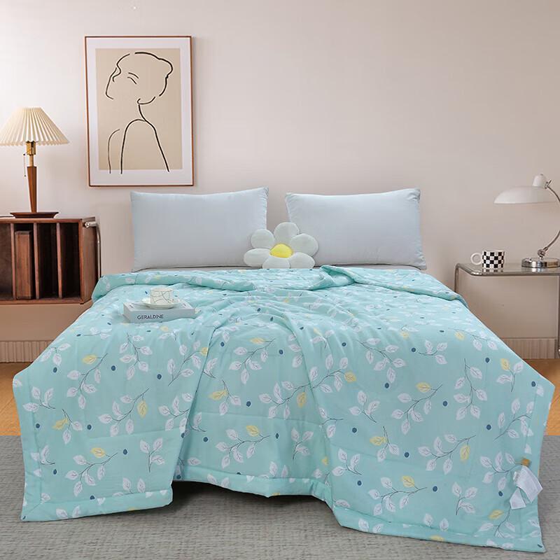 

XuanYu Orchid Dream Breathable Summer Quilt