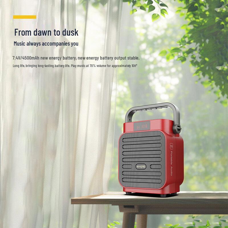 W-King T15 Portable Karaoke & Recording Bluetooth Speaker