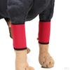 1 Pair Dog Leg Support Brace Canine Frongt Rear Hock , Compression Wrap / Injuries and Sprains Help