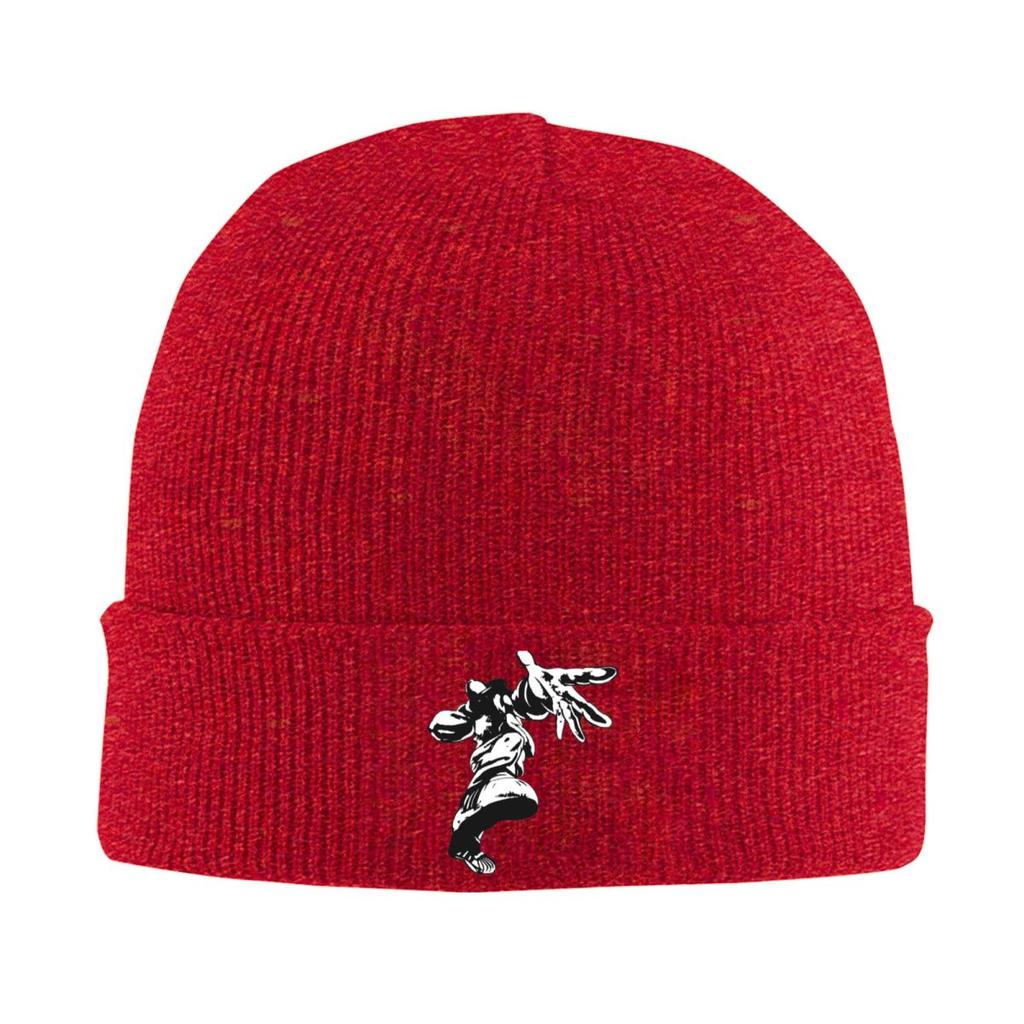 Limp Bizkit Warm Knitted Cap Fashion Bonnet Hat Autumn Winter Outdoor Beanies Hats for Unisex Adult