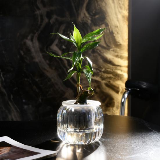 Aquaponik Betta Fischtank Transparenter Kunststoff Bruchfester Pflanzbehälter Ökosystem Aquarium Schreibtisch Aquaponik System für Betta Fisch Zimmerpflanzen