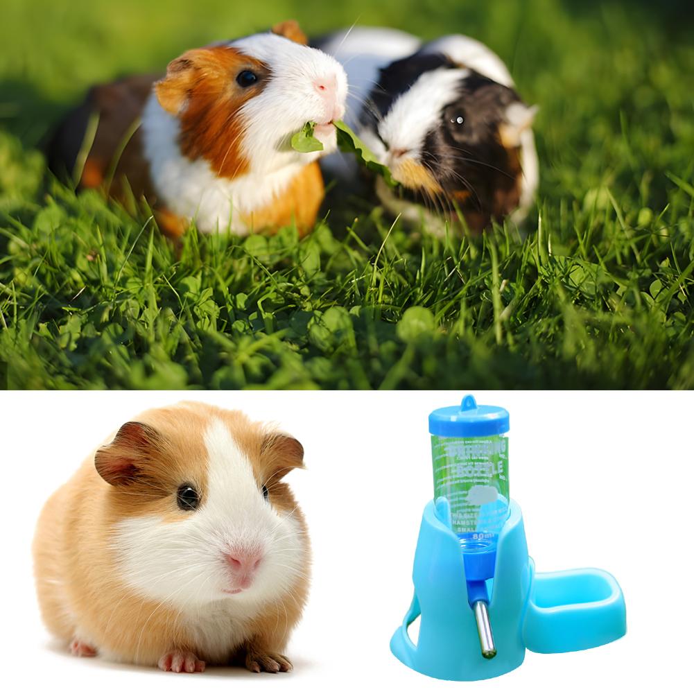 Haustier Hamster Tränke Wasserflasche Spender Futterautomat Hängend Eichhörnchen Röhre Kaninchen Meerschweinchen Kopf Schwein Brunnen Trinken Haustier S0M3