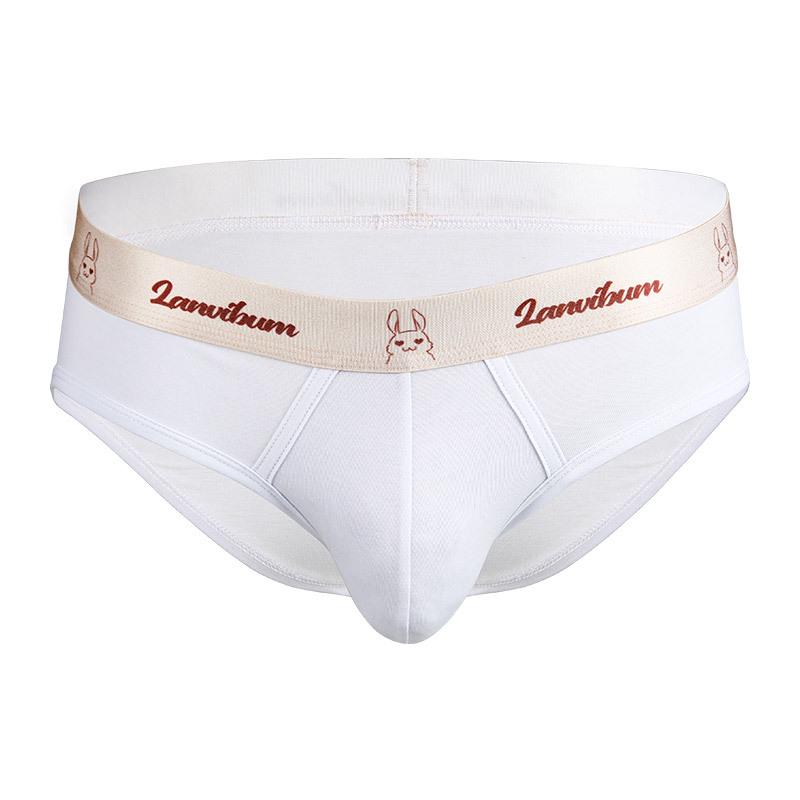 

LANVIBUM Мужские трусы-слипы средней посадки из хлопка с графеном, антибактериальные, больших размеров - Распродажа XL белый