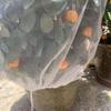 Pest Control Warm Keeping Maintenance Blankets Shrub Wraps Flower Protector Plants Cover