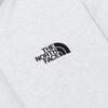 THE NORTH FACE Essential Hoodie Sweatshirt Men's Lime Gray NM5PQ00A