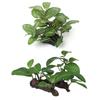 Simulated Faux for Fish Tank Decor Aquarium Plants Ficus Tree Artificial Plants Turtle Jar Ornament