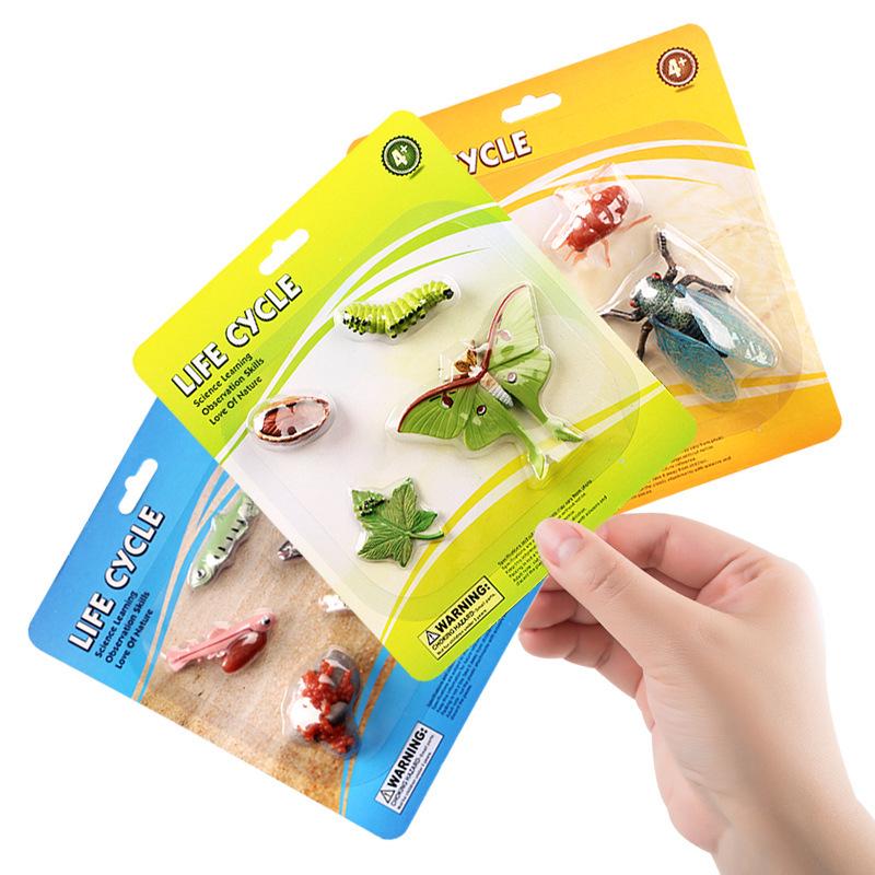 Cross-border Simulation Animal Suction Toy: Butterfly, Rooster, Ant, Frog, Sea Turtle, Mosquito Growth Cycle Models