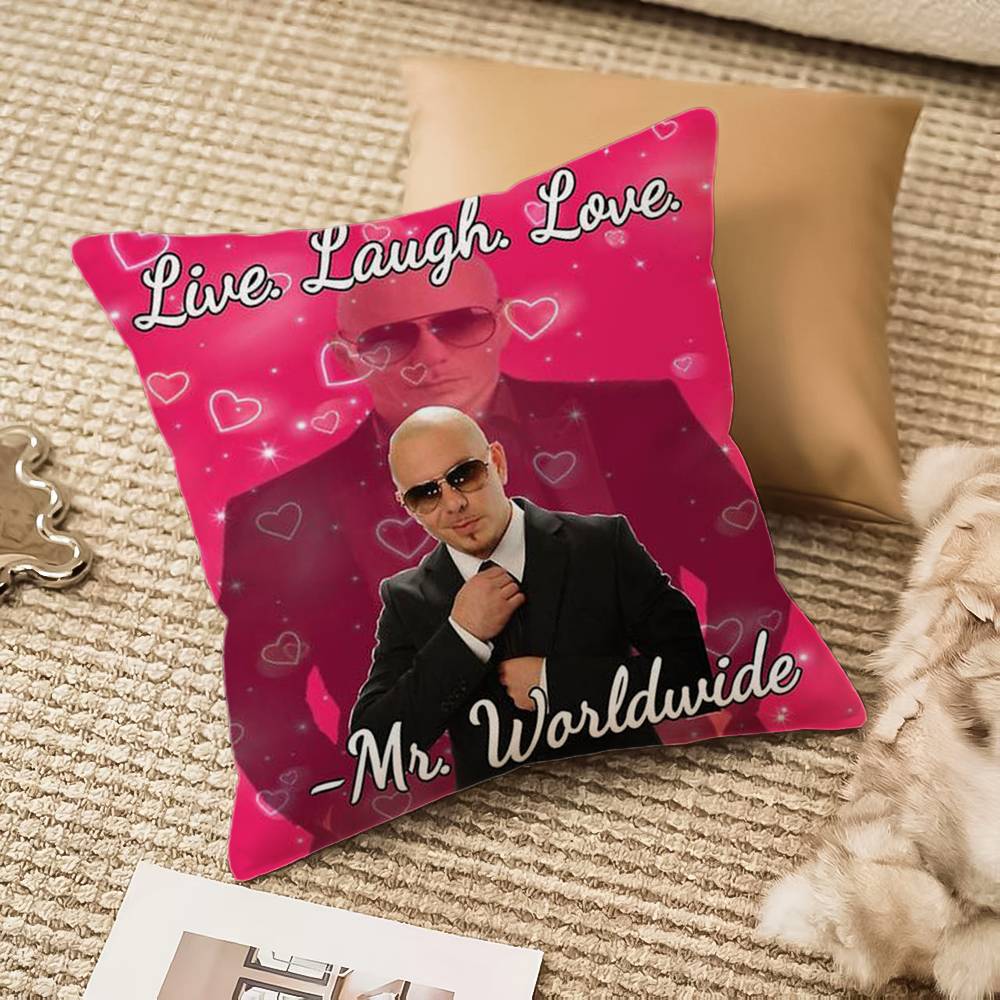 Mr Worldwide P-Pitbull Pillow Case Anti-dustmite Invisible zipper Sofa Bed 16x16Inch