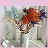 Phragmites Australis Artificial Plant Plastic Flower Living Decoration Room