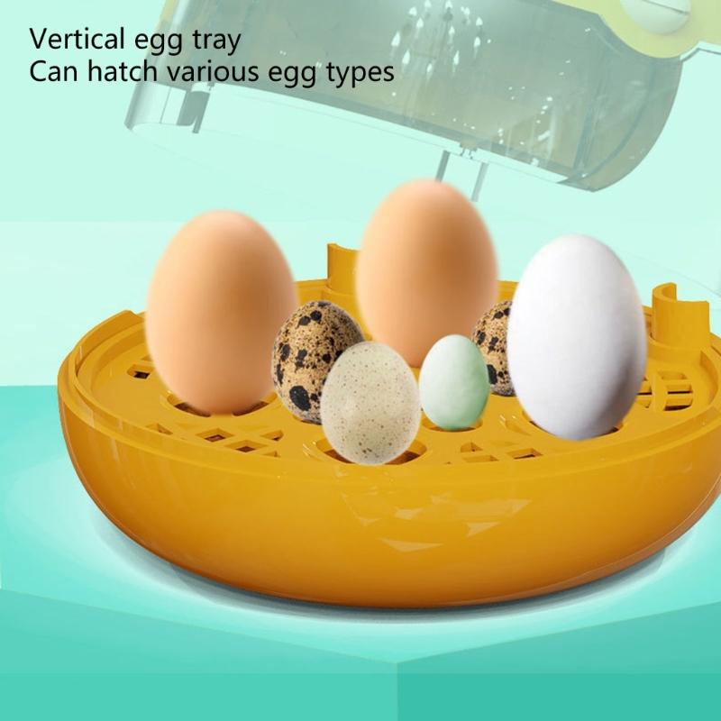 Eggs Incubator 5 Eggs Incubators for Hatching Eggs Heat and Humidity Control 5 Eggs Fully Turnning Poultry Hatcher