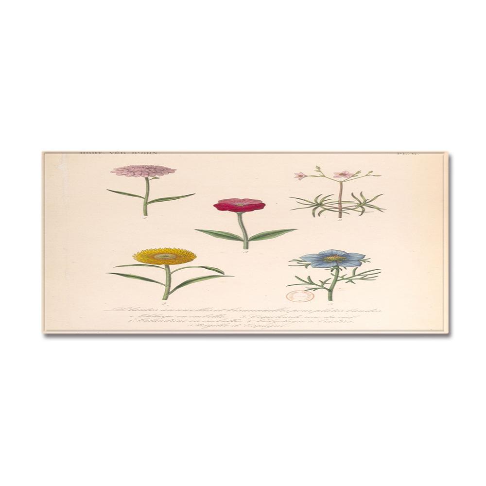 Fresh Bathroom Non-Slip Door Mat Bathroom Mat Kitchen Absorbent Long Floor Mat Bedroom Living Room Carpet