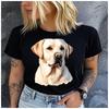 Womens Cotton  Cute A Gentle Dog Print Tshirt Loose Round Neck Casual Short Sleeve Fashion Top Wholesale Clothing Summer