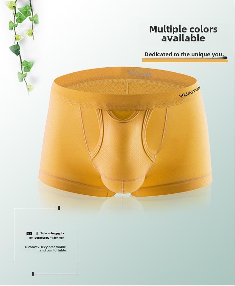 Men's Nylon Mesh Breathable Mid-Waist Boxer Briefs, Japanese Style