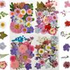 4Sheets Dried Flower DIY Bulk Scrapbooking Pressed Flower Resin Art Crafts Natural Dry Pressed Flowers Decor for Ornament Making