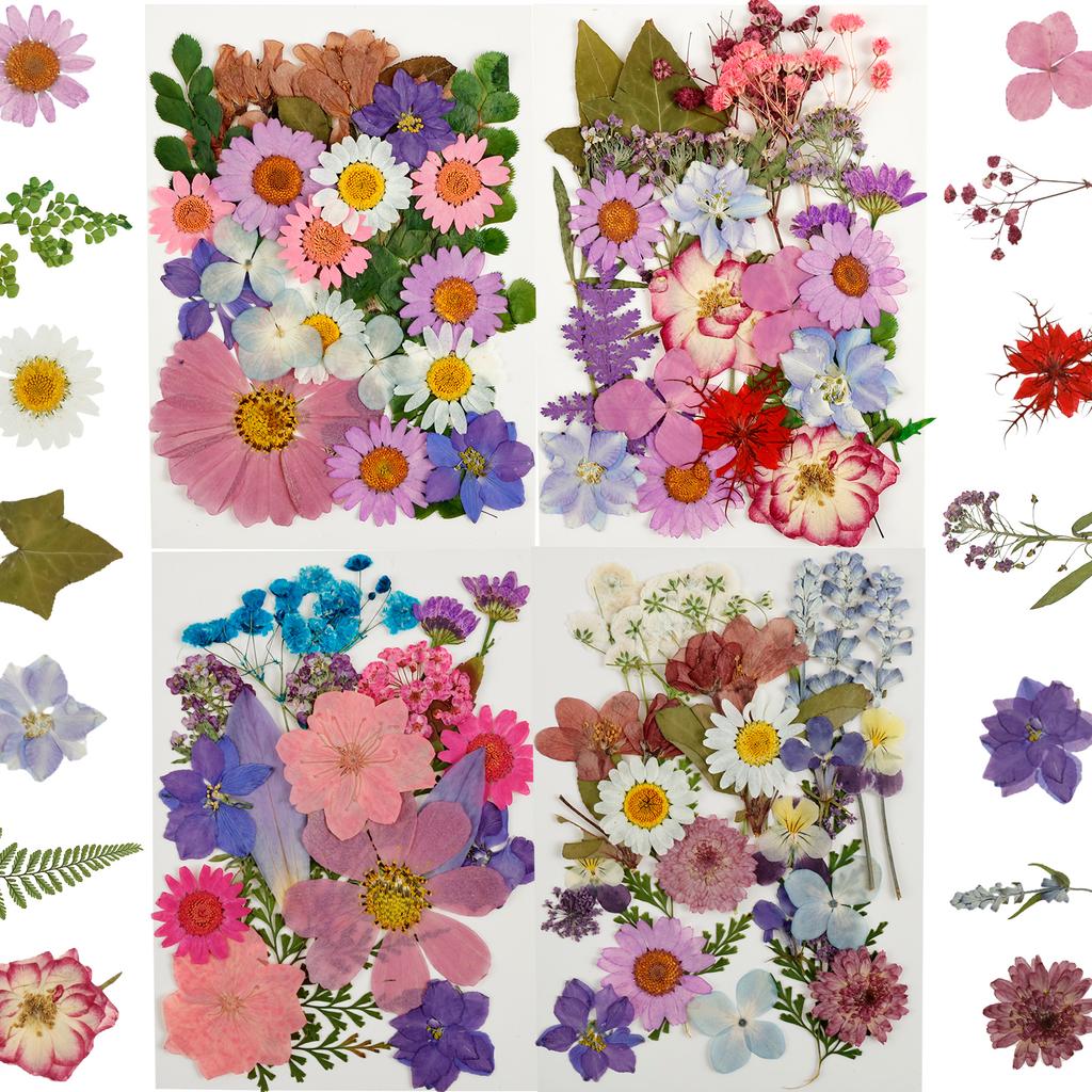 4Sheets Dried Flower DIY Bulk Scrapbooking Pressed Flower Resin Art Crafts Natural Dry Pressed Flowers Decor for Ornament Making