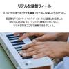 Arturia MicroLab MK3 Keyboard Slim Keyboard with Black Controller, 25-Key, Velocity-Sensitive, High-Quality USB-C Connection,