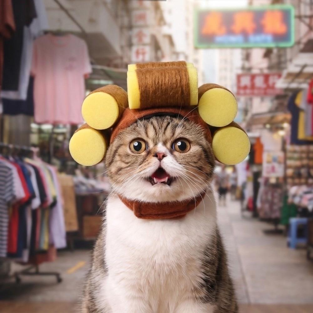 Breathable Curly Hair Pet Hats Wear-resistant Dog Head Cover Korean Style Cat Headgear Cosplay