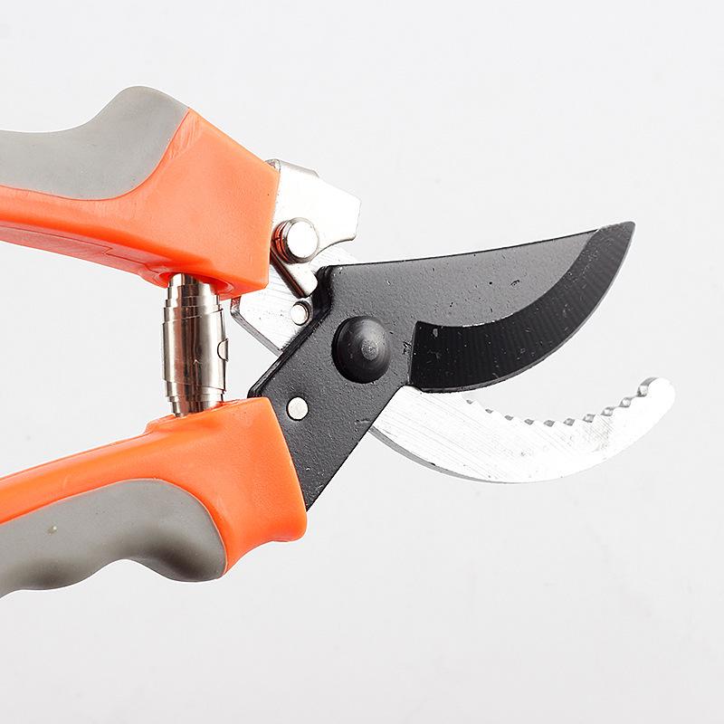 Garden Pruning Shears - Ideal for Flowers, Trees, Grass, and Hedges