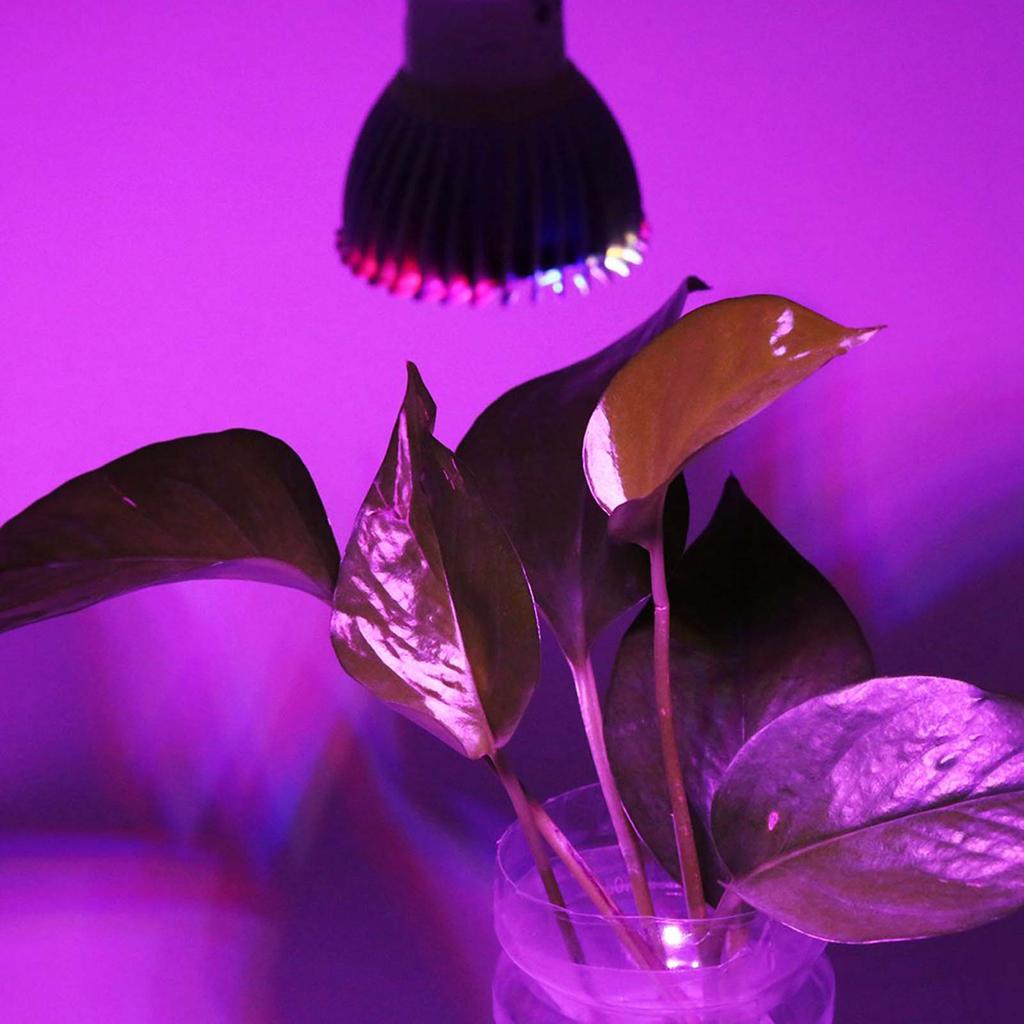 28W Full Spectrum Led Grow Light Growing Lamp Bulb For Flower Plant 85V-265V E14