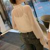 DAYCLOSET Long Sleeve Sheer Blouse with Ruffles and High Lightweight and Loose Perfect for Spring and Autumn Women's See-Through Neck, Sheer, Fit,