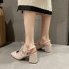 Fashion Mary Jane Shoes Women's 2025 Summer New Square Head Shallow Mouth Thick Heel Non-slip Fashion All-match Retro High-heeled Shoes