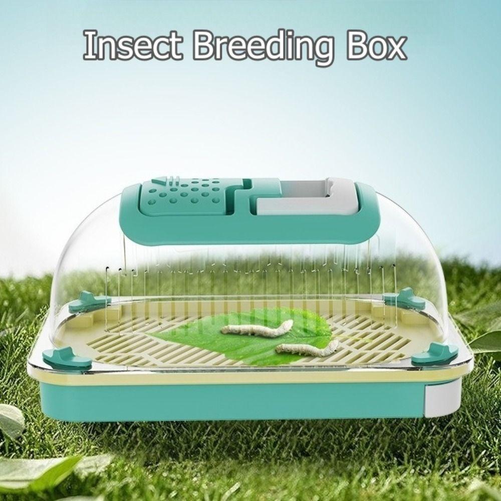 Large Capacity Reptiles Observation Boxes Hand-held Lizards Carrying Case  for Outside