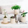 Self Watering Flowerpot Transparent Plastic Flower Vase Automatic Tabletop Lazy Hydroponic Succulent Plant Pot Household Workspace Decoration