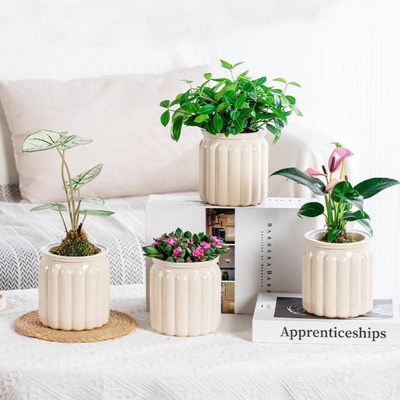 Self Watering Flowerpot Transparent Plastic Flower Vase Automatic Tabletop Lazy Hydroponic Succulent Plant Pot Household Workspace Decoration