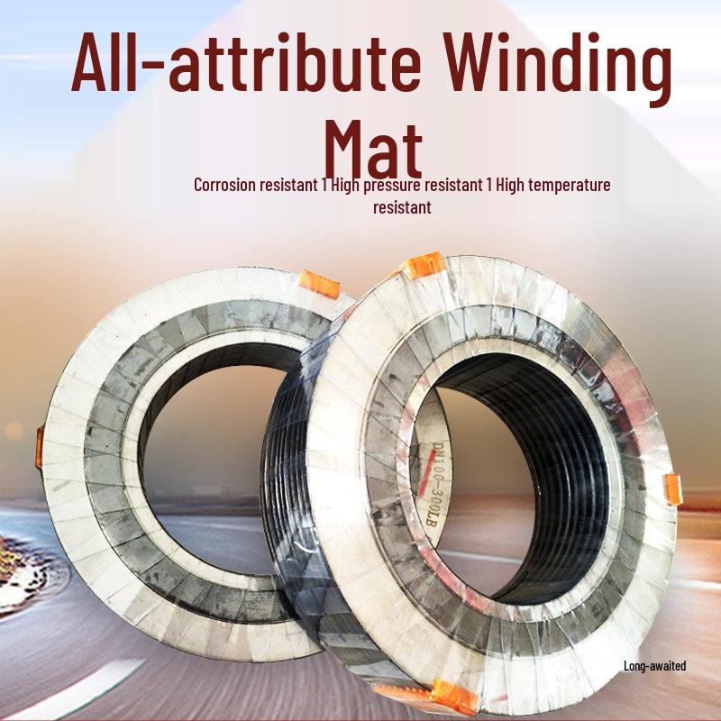 DN50 B-type Metal Wound Gasket with Inner & Outer Rings, Graphite, 304 Stainless Steel Flange
