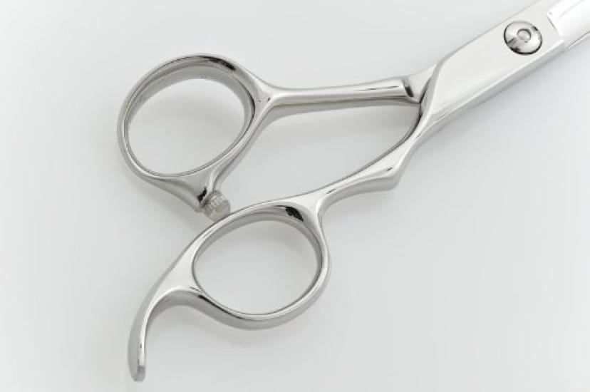 DEEDS Japanese Scissors Specialty Manufacturer GTX Scissors (6.5 Inches)