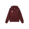 Adidas Originals Cny Tiger Year Limited Edition Sports Hoodie Women Hoodies Brown Red HD0339