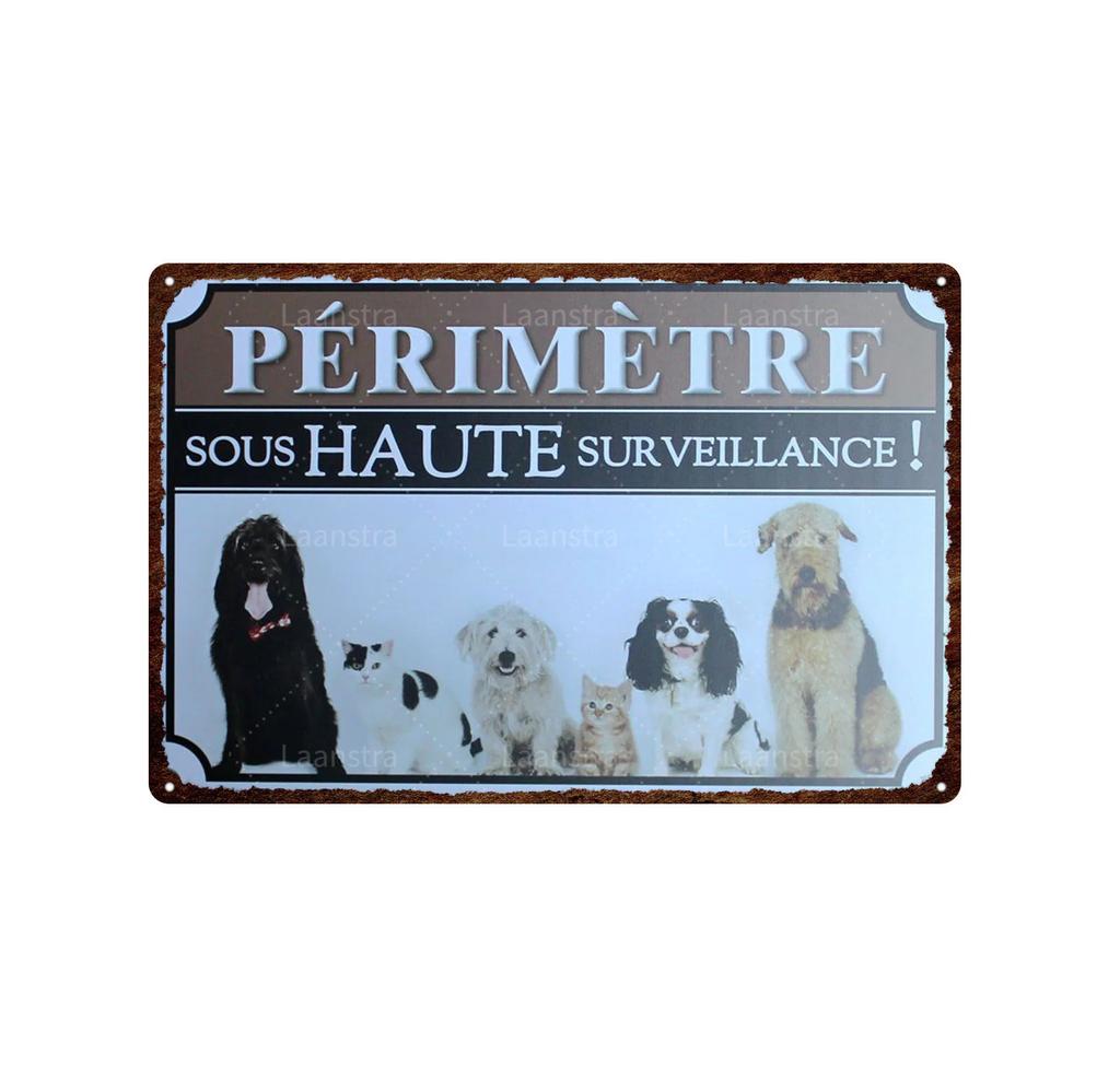 Retro Iron Painting Metal Plaque Attention Animals Dog and Cat Wall Decor Art Poster Tin Signs Bar Home Decoration Painting
