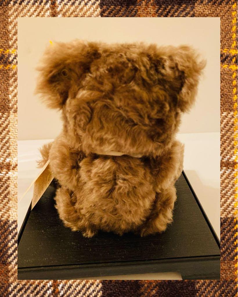 [USED] Steiff Teddy Bear Made In Germany Congratulations Edition No.