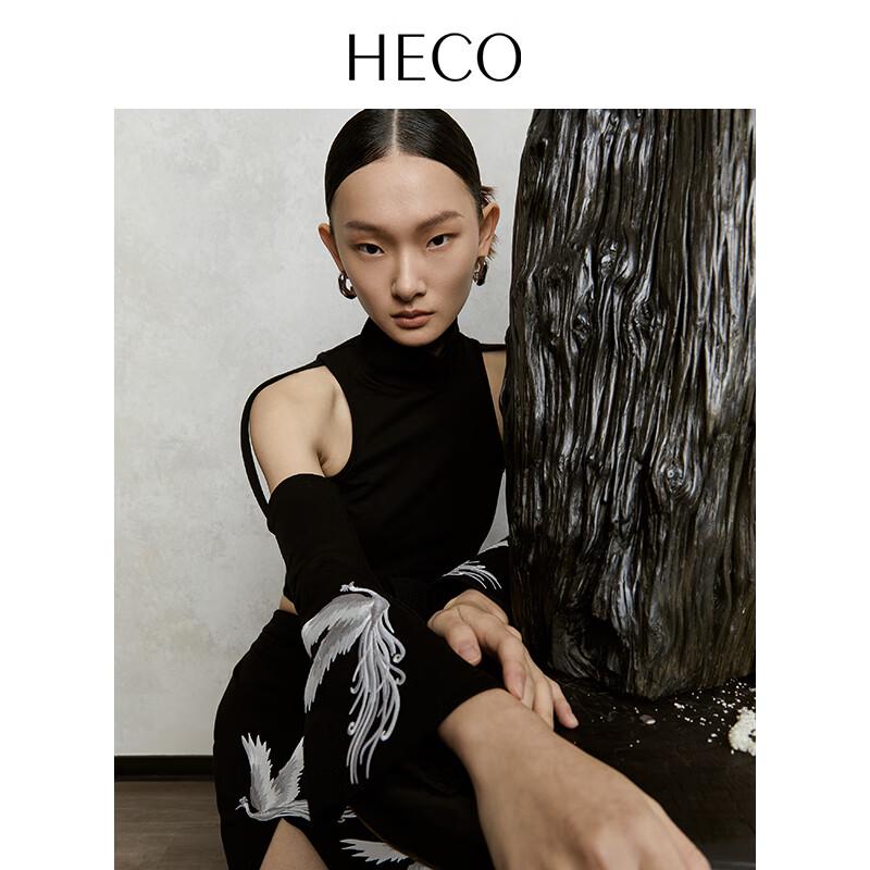 Heco Phoenix Cloud New Chinese Style Top and Skirt Set