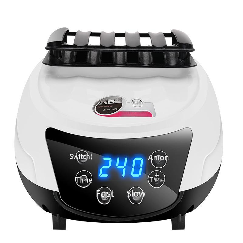 Remote-Controlled Air Dryer with Negative Ion Shield for Household Use