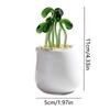 Creatieve Handgemaakte Glazen Potplanten Bloemen Ornament Platte Bodem Schattige Mini Bonsai Levendig Draagbaar Glazen Boeket Beeld Thuis