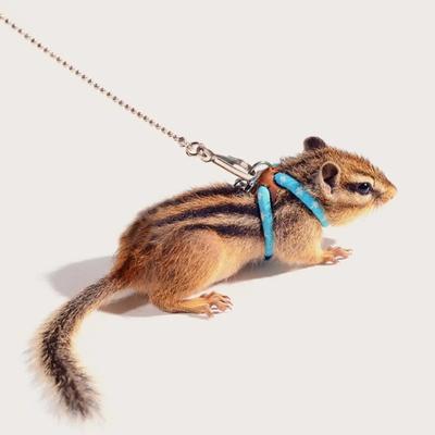 1 Stück - Kleines Haustiergeschirr und Leinen-Set - Sichere, bequeme Weste für Hamster, Mäuse & Eichhörnchen