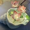 Lotus Design Sea Shell Glass Lotus Glass Material DIY Lotus Lamp Small Night Lamp  Girlfriend Gift