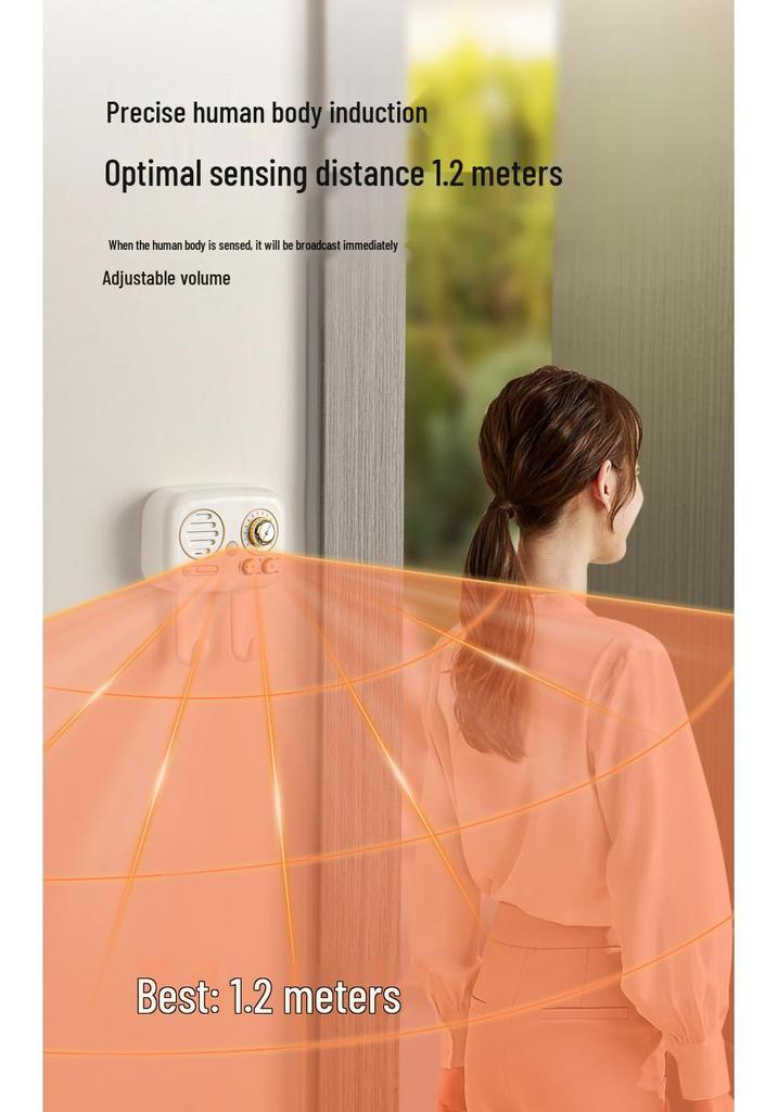 Home Outing Reminder: Voice-Prompt Device for Elders To Ensure Keys, Gas Stoves, Doors, and Windows Are Securely Closed.